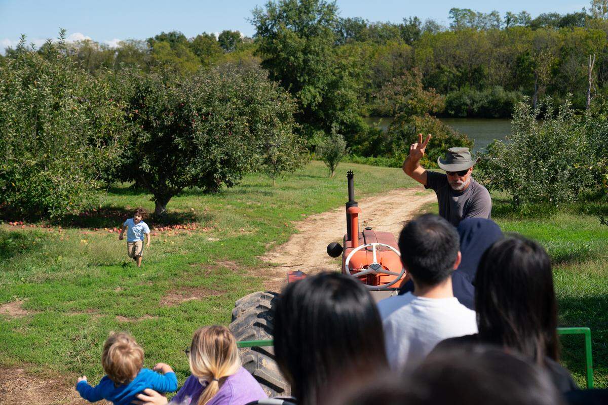 Patrick Tipsord drives patrons on a tractor to the orchards at Brauetigam’s Farms in Belleville, Ill.