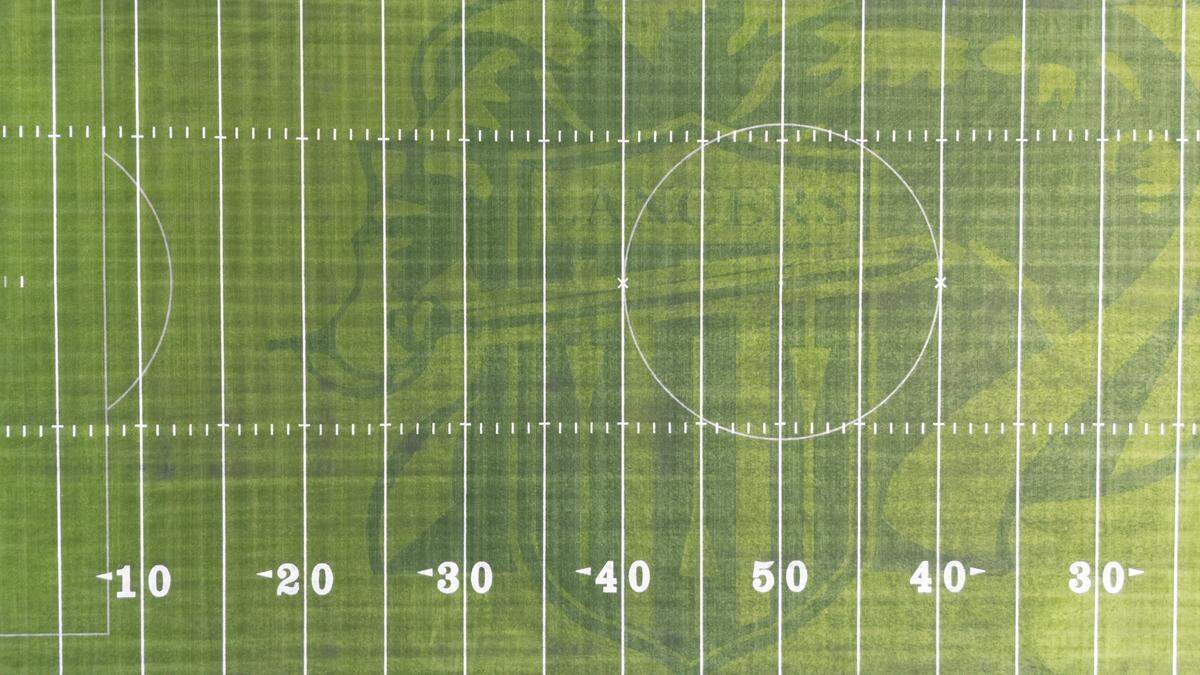 This drone photograph shows the new turf at the Belleville East High School athletic field.