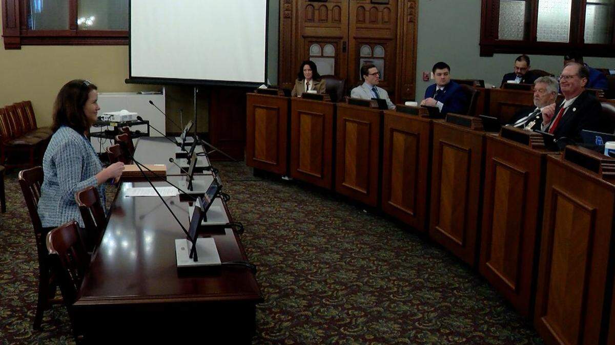 Governor’s Office of Management and Budget Director Alexis Sturm speaks to the House Revenue and Finance Committee in Springfield on Thursday.