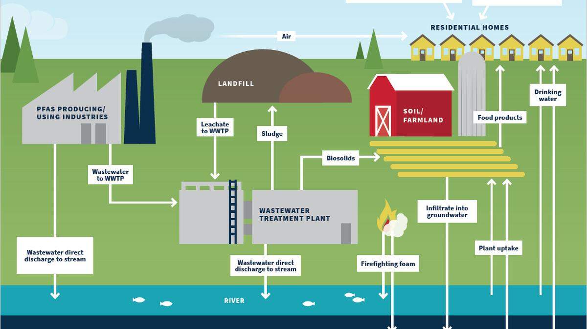 PFAS chemicals are found in soil, water systems and stain-resistant products.
