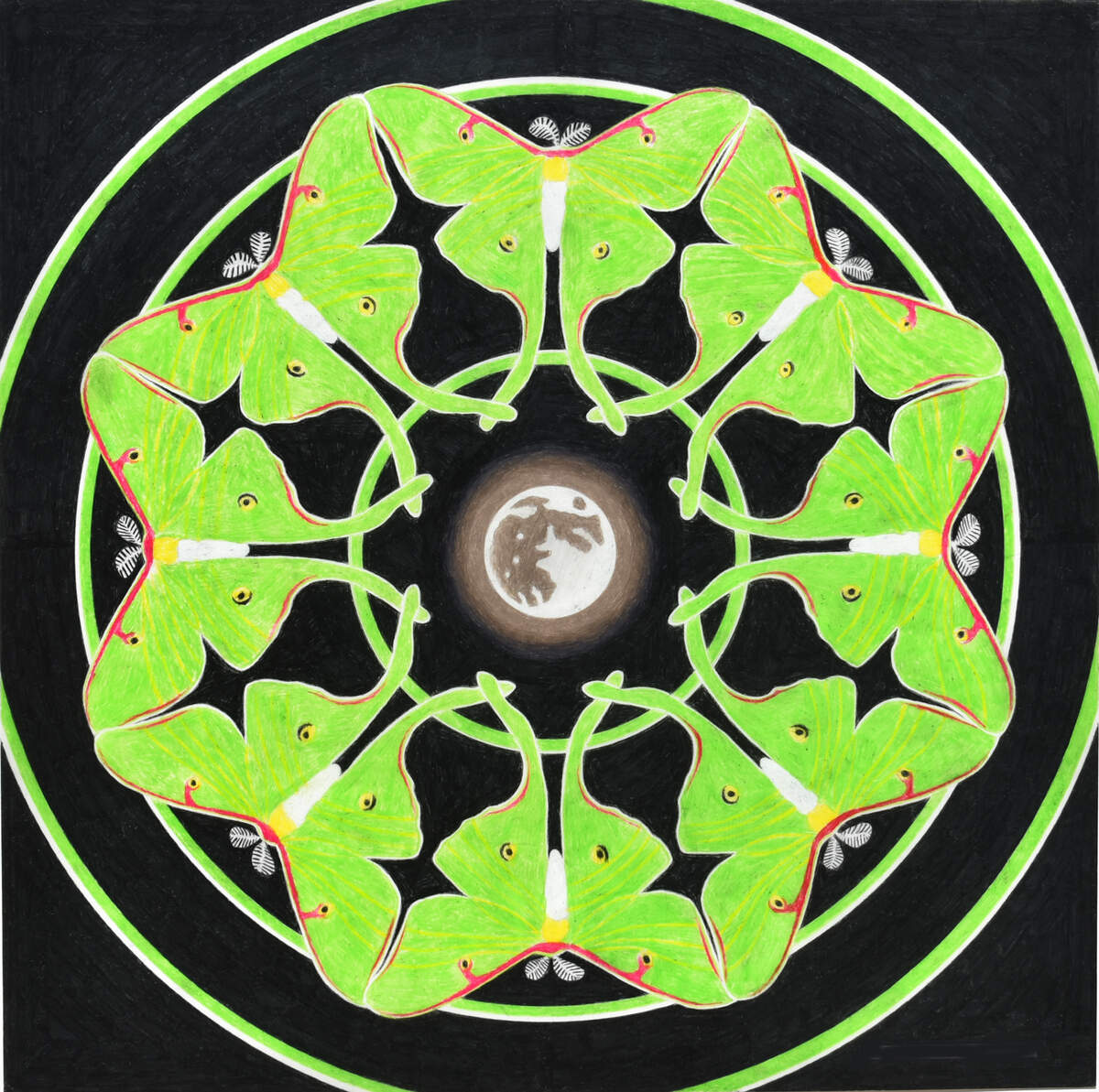 Art on the Square exhibitor Gary E. Bachers creates colored-pencil drawings that almost always incorporate full moons and often feature flowers, trees, vines and insects. This piece is called "Luna Series No. 2."