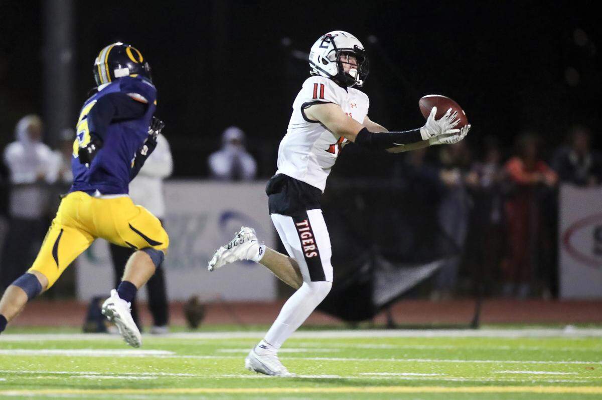 Edwardsville’s Joey DeMare hauls in the game-winning touchdown pass against O’Fallon in a first round IHSA Class 8A playoff game Saturday night. The Tigers prevailed 43-36.