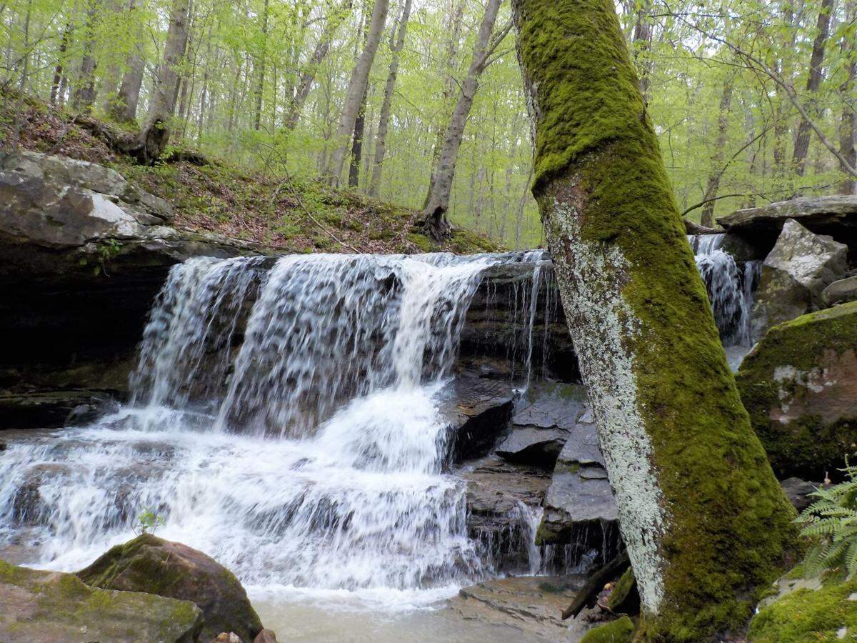This photo was taken April 19 in the Hidden Cove Waterfall, the namesake of the Shawnee National Forest’s Waterfall pilot project.