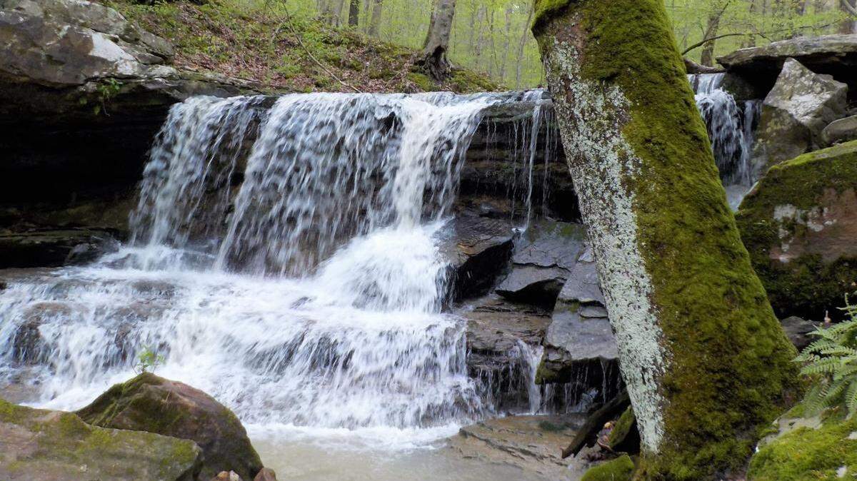 This photo was taken in the Hidden Cove Waterfall, the namesake of a Shawnee National Forest’s Waterfall pilot project.