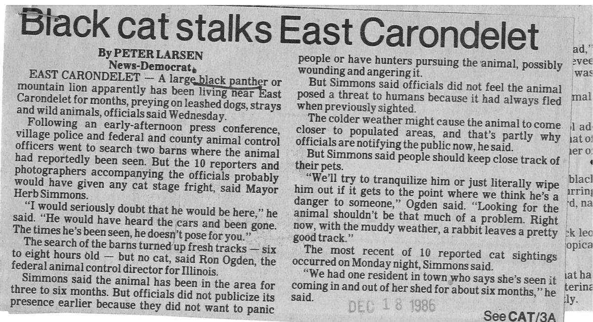 "Black cat stalks East Carondelet," says this Belleville News-Democrat article from Dec. 18, 1986.