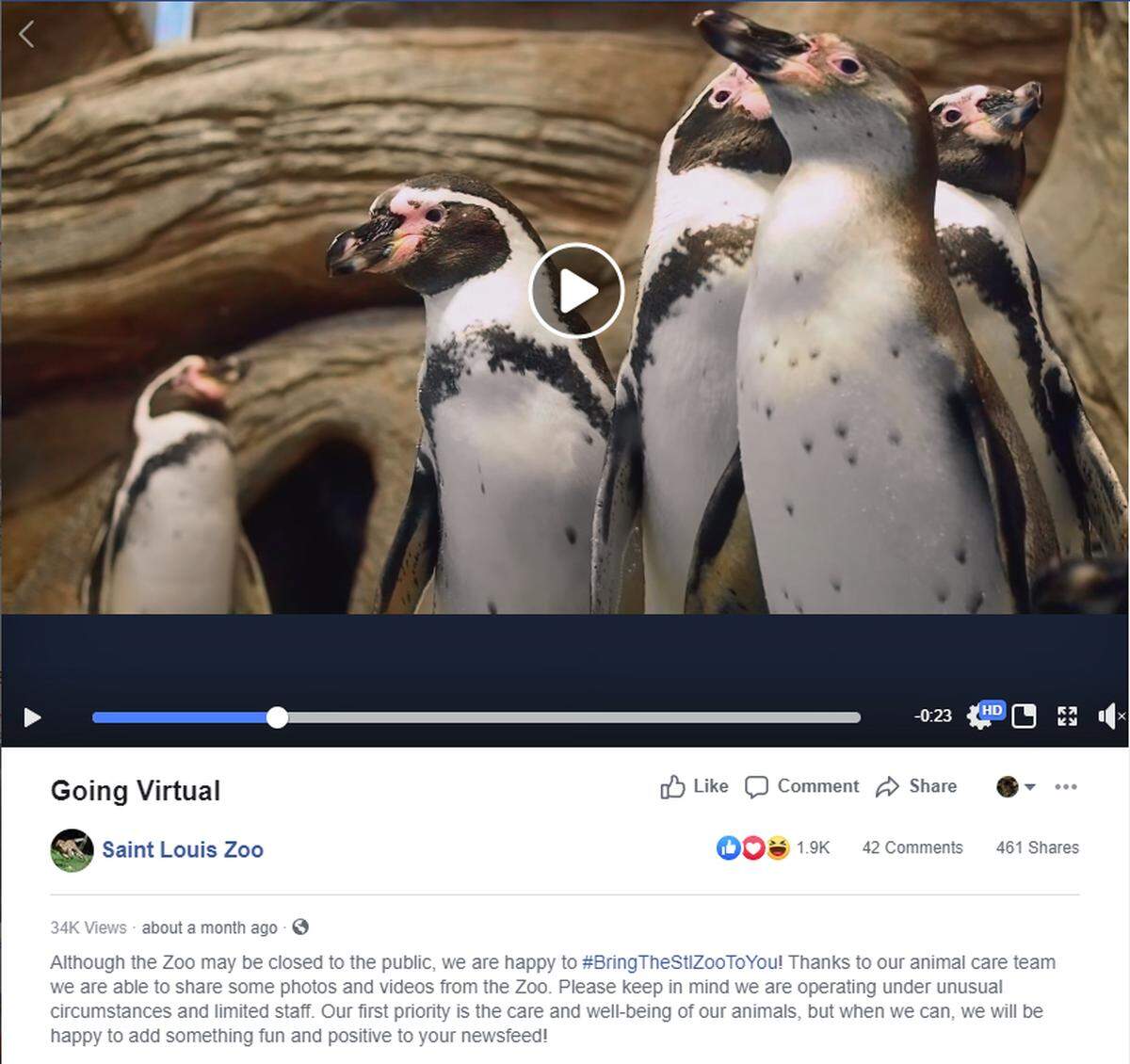 The Saint Louis Zoo continues to share stories, videos and photos on social media and on the Zoo’s website. Follow the hashtag #BringTheStlZooToYou for content and information.