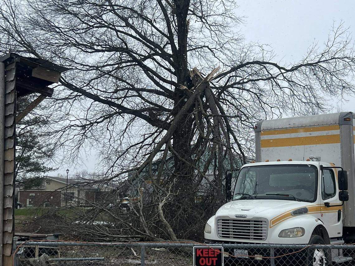 A March 15, 2026, tornado damaged trees in New Athens.