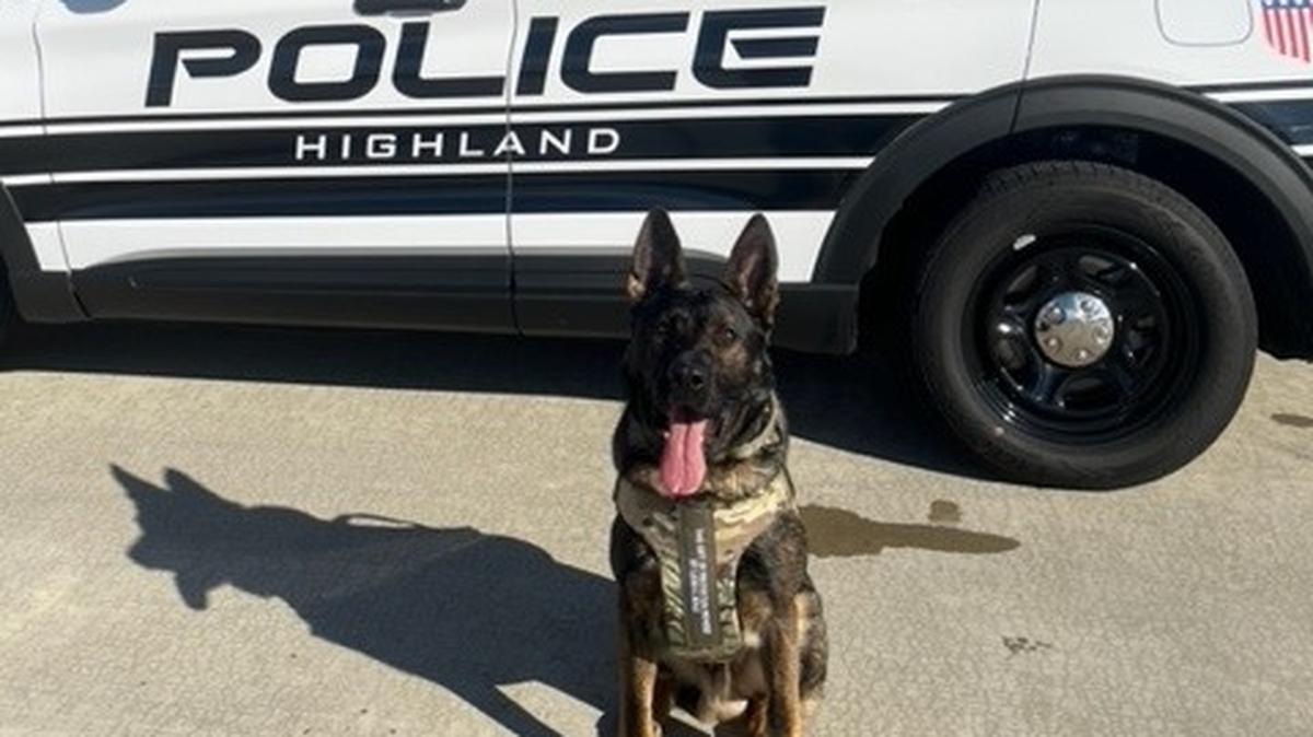 Highland Police Officer Brad Sutton and K-9 partner, Hondo. Hondo helped Highland police see an increase in narcotics-related charges.