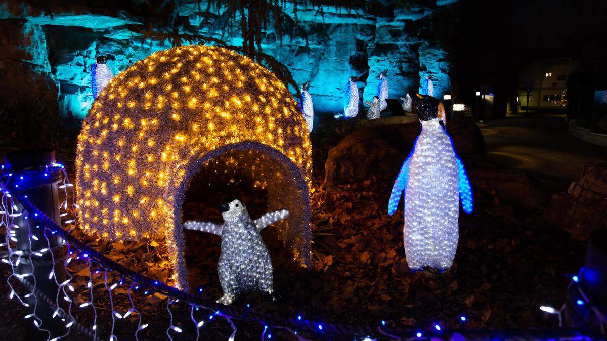 Wild Lights returns to the Saint Louis Zoo starting Friday, Nov. 24. The event takes place on select nights through Saturday, Dec. 30. For more info, visit www.stlzoo.org/wildlights.