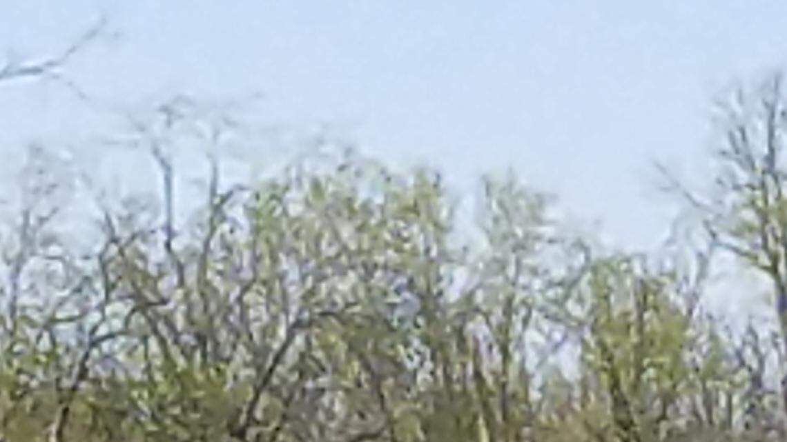 Highland baseball team struggles early, finishes season with strong second half