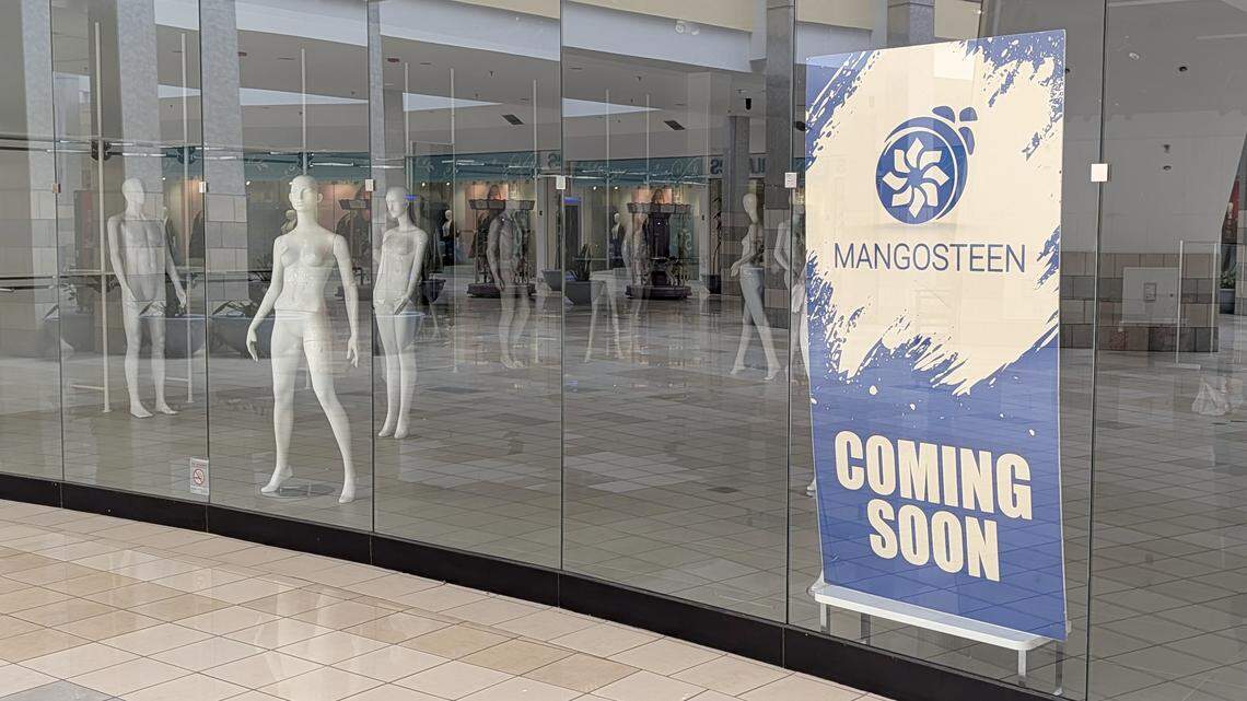 Mangosteen, a clothing boutique, will soon open next to H&M at St. Clair Square mall in Fairview Heights.
