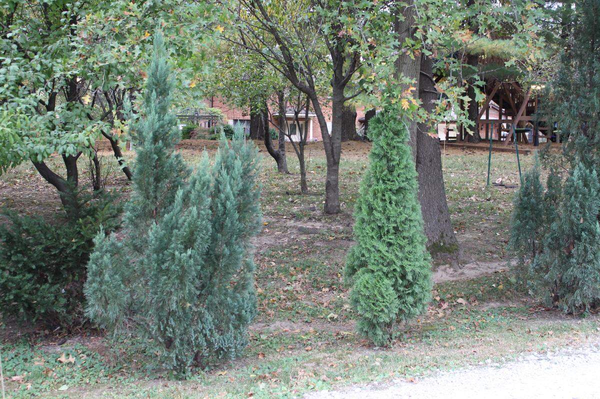 Abdul and Crista Jamous have been parking in a neighbor’s driveway and walking 250 feet across a gravel road and their yard to get to their home (front door visible in distance).