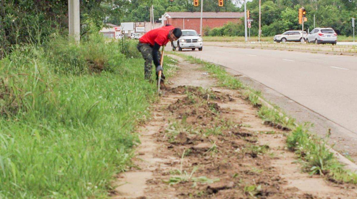 A members of Clean City Coalition works to clean a sidewalk on State Street near Interstate 255 that is being overtaken by weeds and grass. The group is bringing residents together to clean up the city.