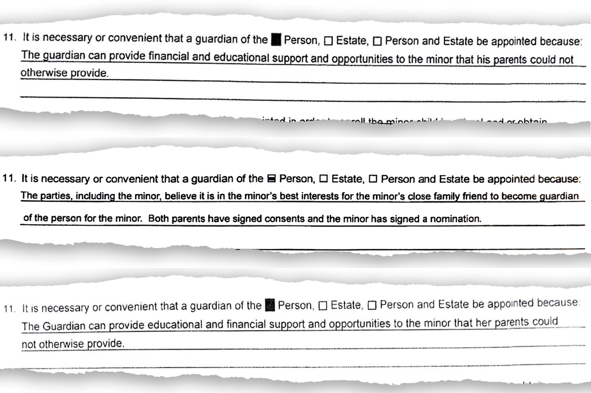 Lake County court records show parents giving up their rights to someone they say can provide their children with “financial and educational support” better than they can. The children can then get financial aid they wouldn’t otherwise get.
