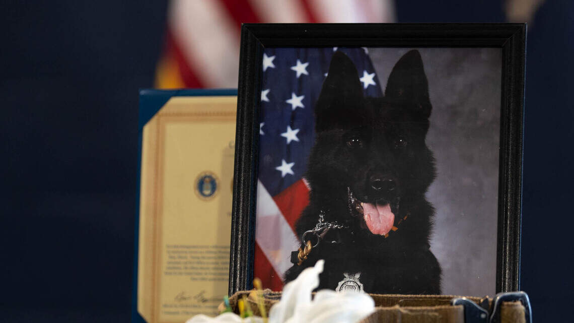Kaso’s K-9 memorial on Scott Air Force Base: From strangers to family