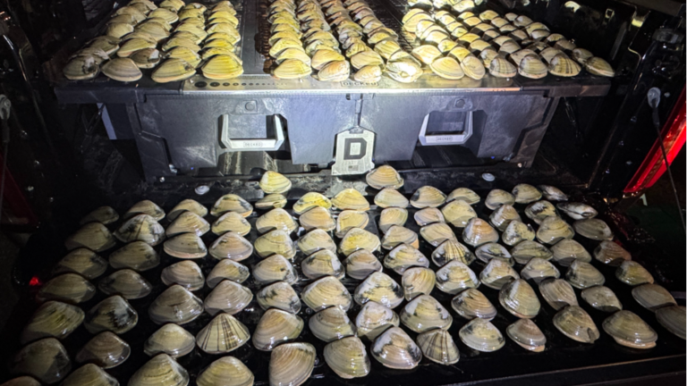 Pismo Beach clam poachers busted; new sandwich shop opens. Today’s top stories