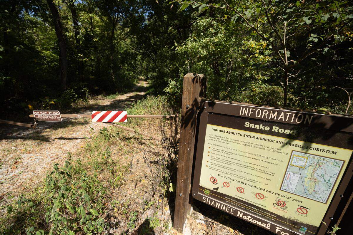 A sign showing the southern entrance to snake road, where visitors have a chance to see a multitude of snakes twice each year in Shawnee National Forest.