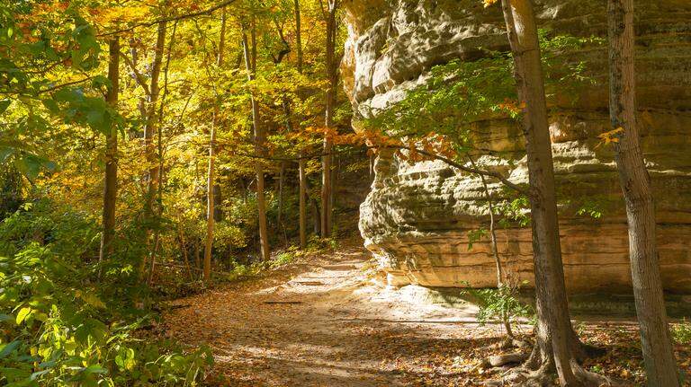 The top 5 highest-rated Illinois state parks for your summer vacation plans