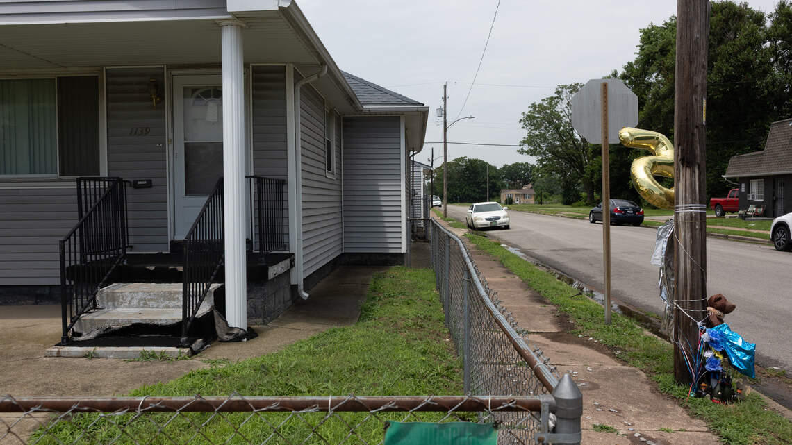 Metro-east crime roundup: Murder charges, child porn and fatal dog cruelty