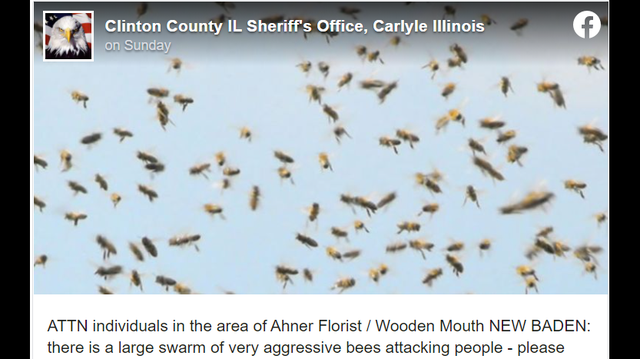 At least 30 people were stung by a “very aggressive” swarm of bees outside a restaurant in New Baden, Illinois.