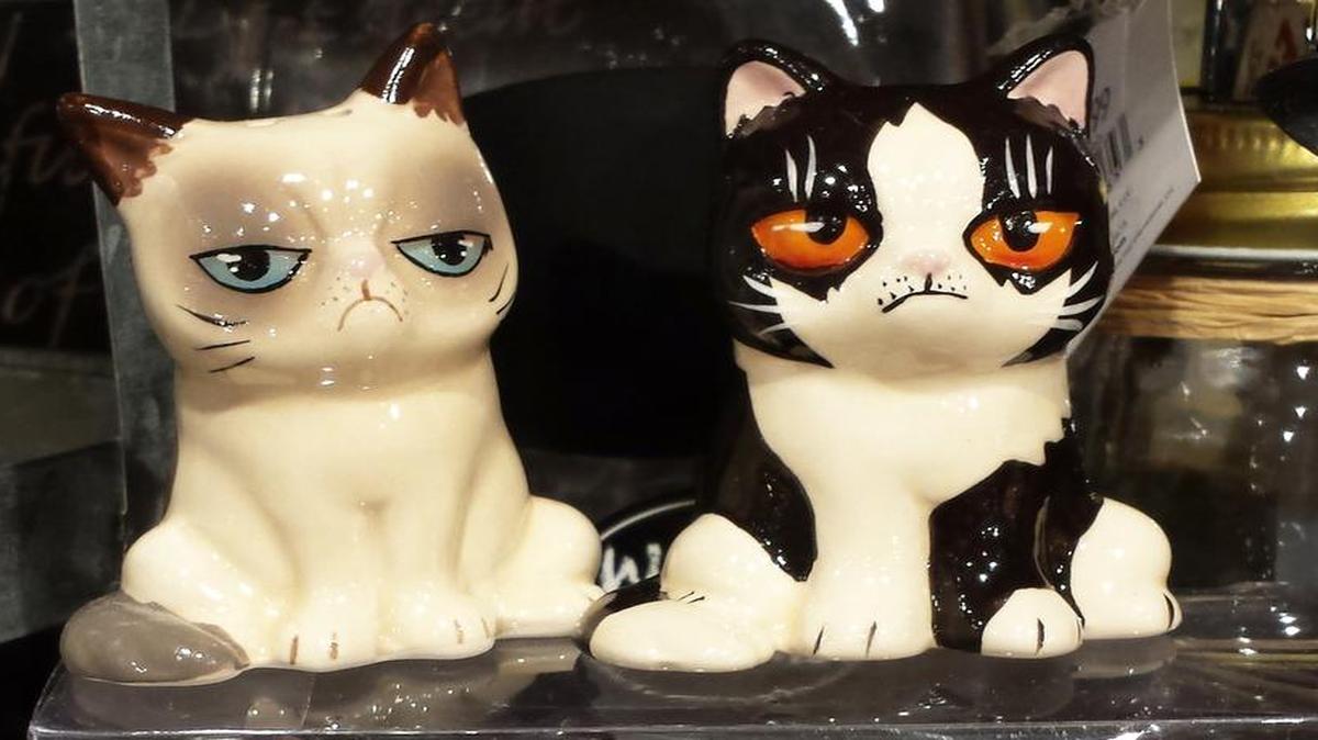 
Grumpy Cat is joined by his brother Pokey in this salt-and-pepper set.
