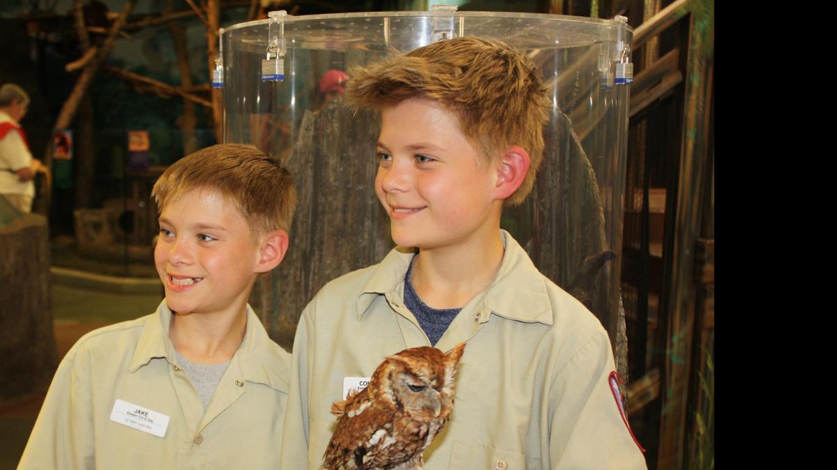 
Connor Riley holds Amarillo the screech owl inside the Children’s Zoo. He and his twin brother Jake, both 11, spent a day as keepers at the St. Louis Zoo.
