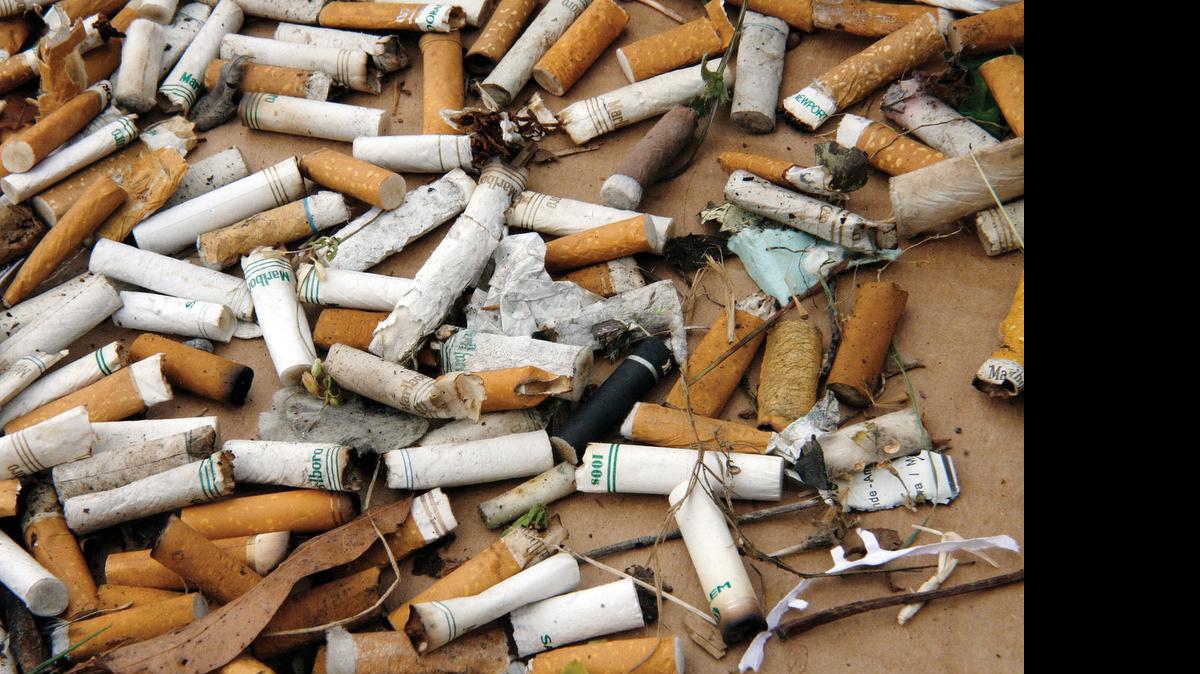 
Think of all that money gone up in smoke.
