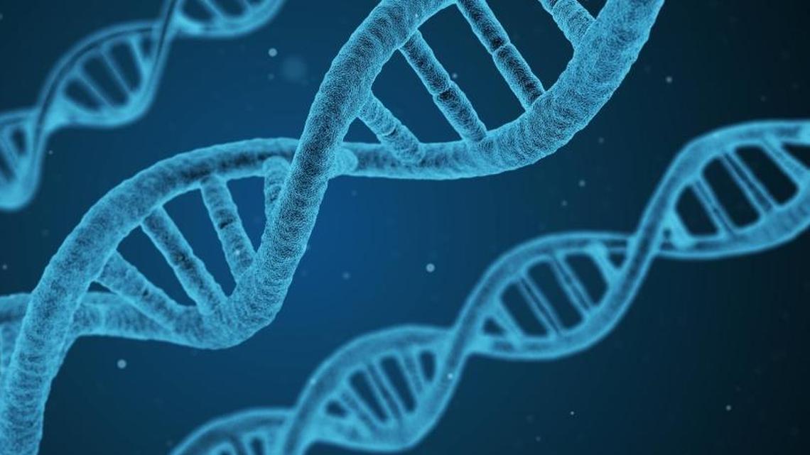 Getting a bone marrow transplant could give you new DNA, too