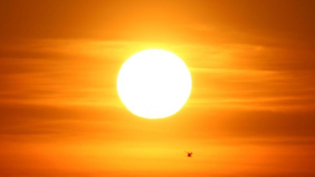 
The surface temperature of our sun is only 10,000 degrees.

