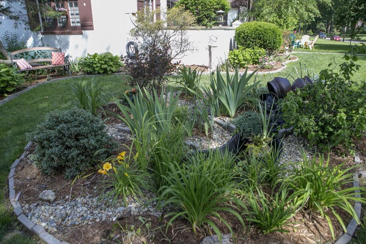 A water pond and garden has taken root where a rotting tree stood at the Belleville home of Tim Gore and Steven Wilson. They are welcoming guests to tour their yard and gardens during the Gardens In Bloom tour on June 3.