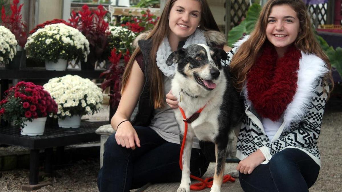 Faux fur trims the Aeropostale vest, $35, worn by Laney Martz, 14, left, and the Macy’s Rebellious brand graphic cardigan, $34.99, worn by Lindsay Myatt, 15. Both are students at Althoff Catholic High School. Lindsay’s maroon infinity scarf, $9.99 is from Rue 21, while Laney’s soft gray scarf is from Maurice, $20. Their buddy George, a mild-mannered Australian shepherd mix, is available for adoption at Belleville Area HumaneSociety.