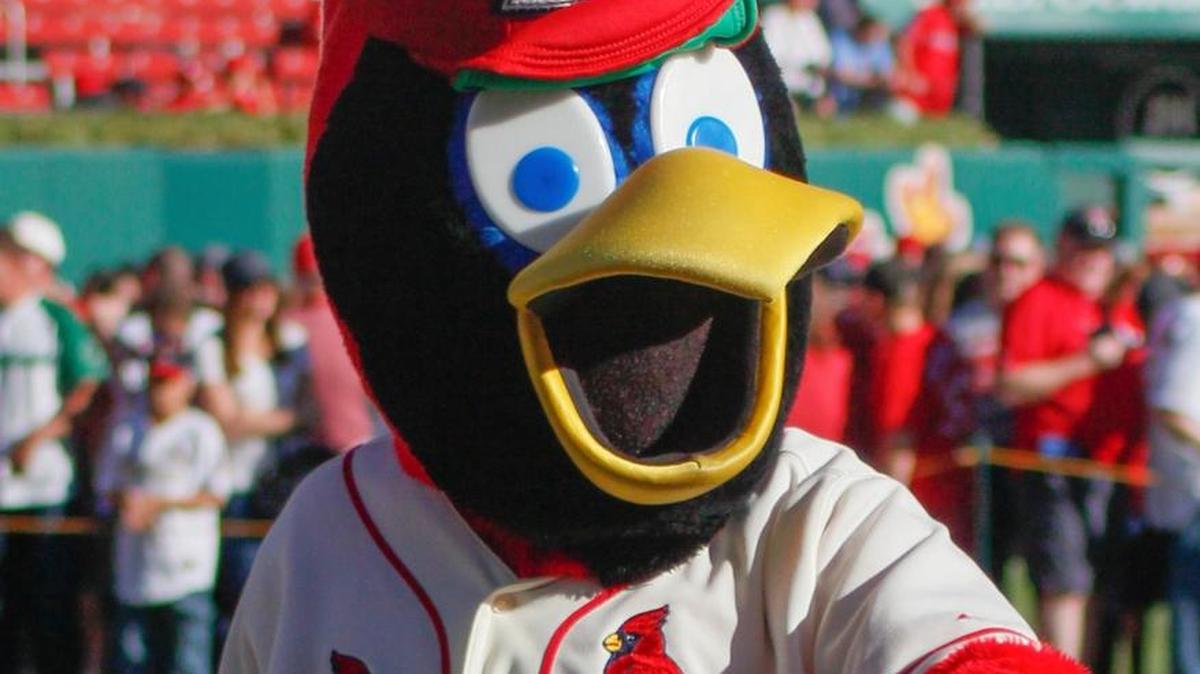 Fred Bird would want good manners at the stadium.