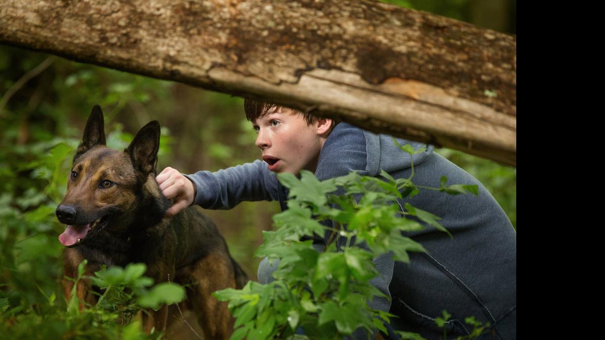 
Josh Wiggins stars as Justin Wincott in an action scene with Max the precision-trained German Shepherd in the movie “Max,” which opens Friday.
