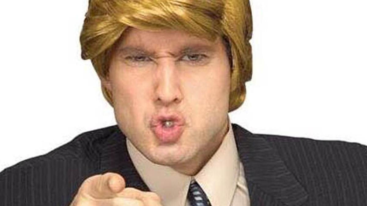 
It’s the Donald wig from Spirit Halloween store.
