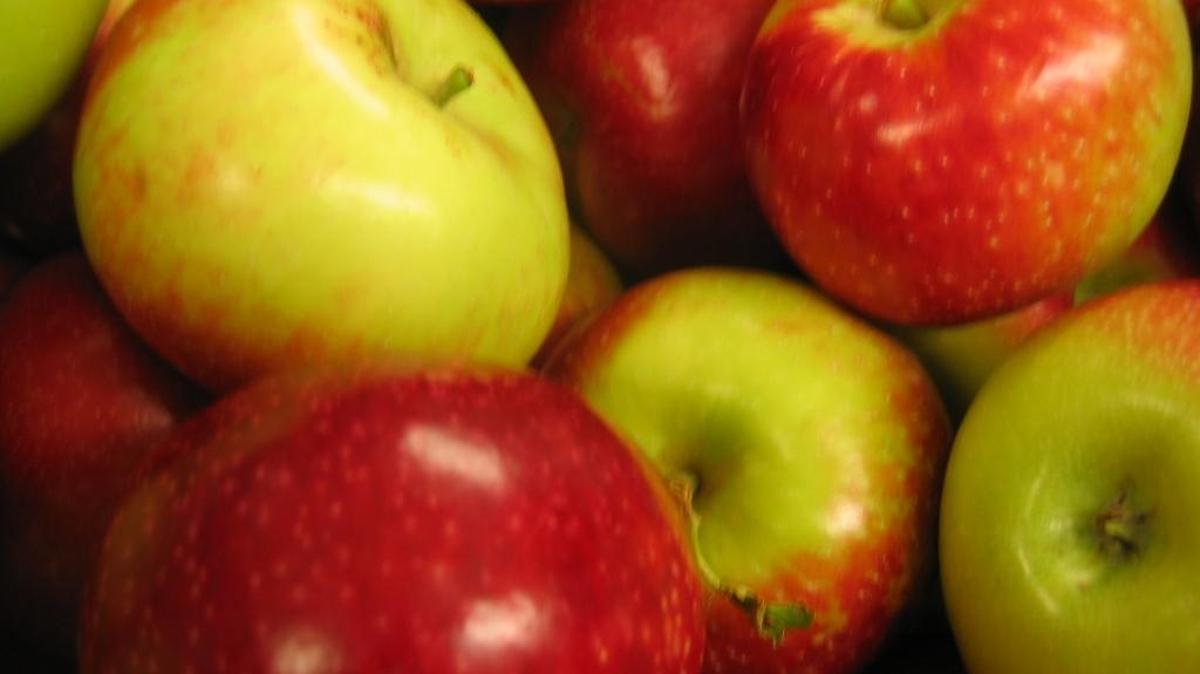 Apples are best stored at 30-32 degrees with 90 percent humidity and good air circulation.