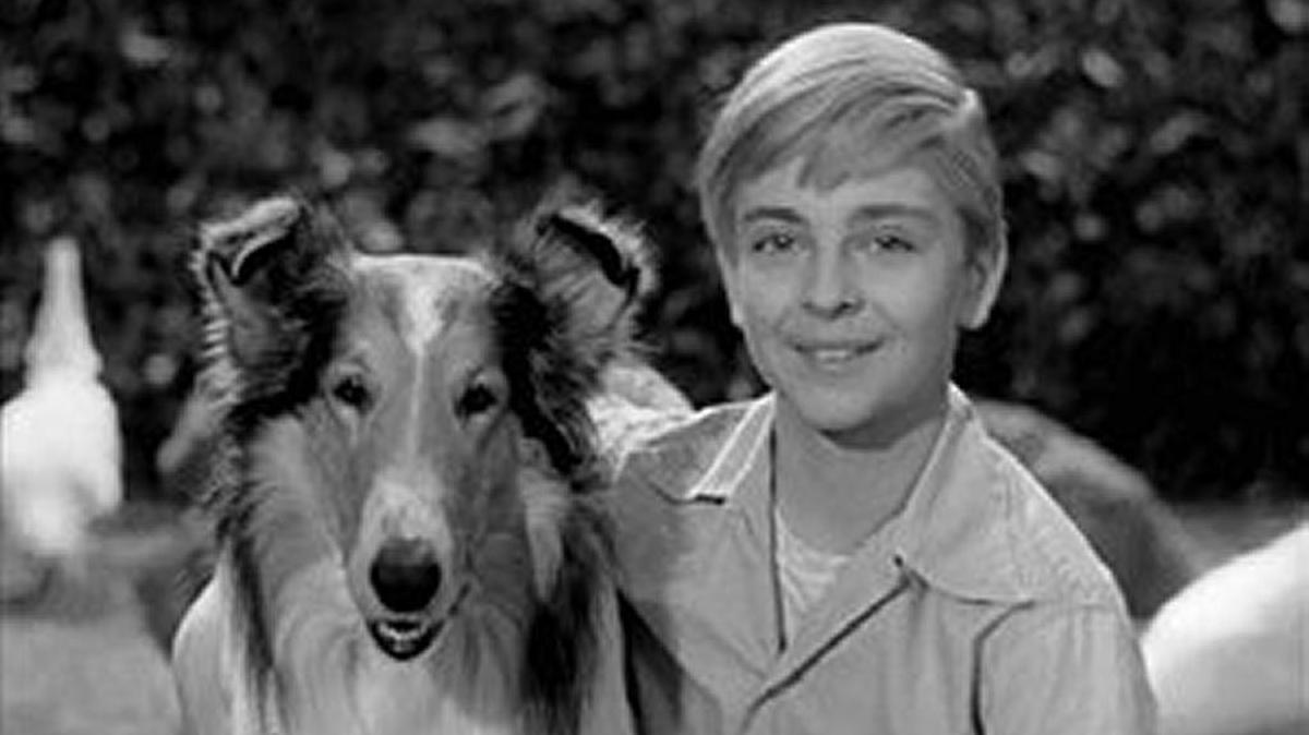 
Tommy Rettig in a cover shot for the TV series “Lassie.”
