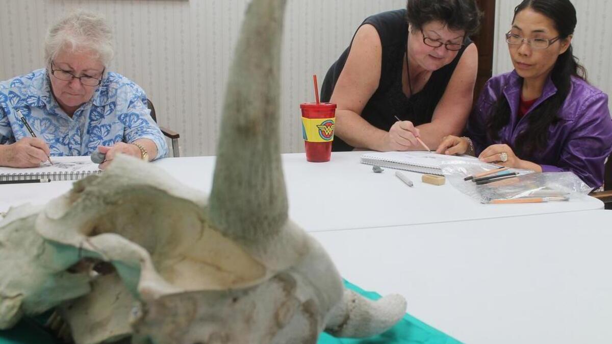 
Kathy Gomric helps Rosemary Streuer during an afternoon art class at Kathy's Belleville studio. Kim Ferguson works on her drawing, at right. 
