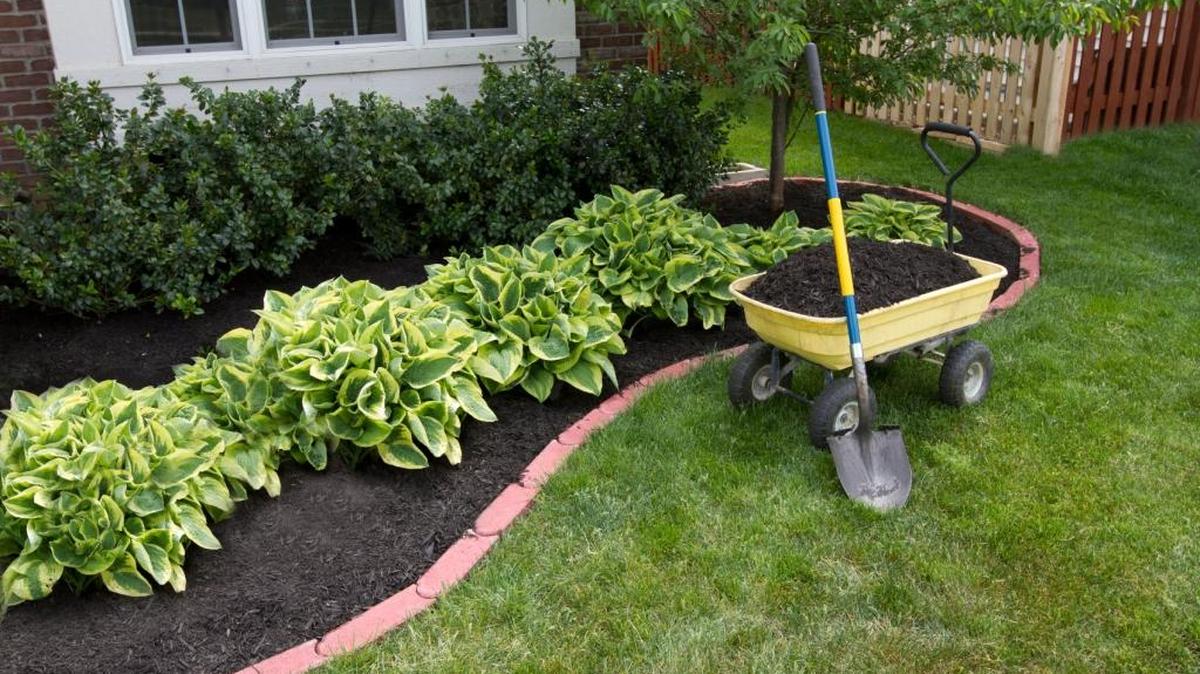 Mulch conserves moisture, keeps soil cool, reduces weeds and looks good in plant and shrub beds.