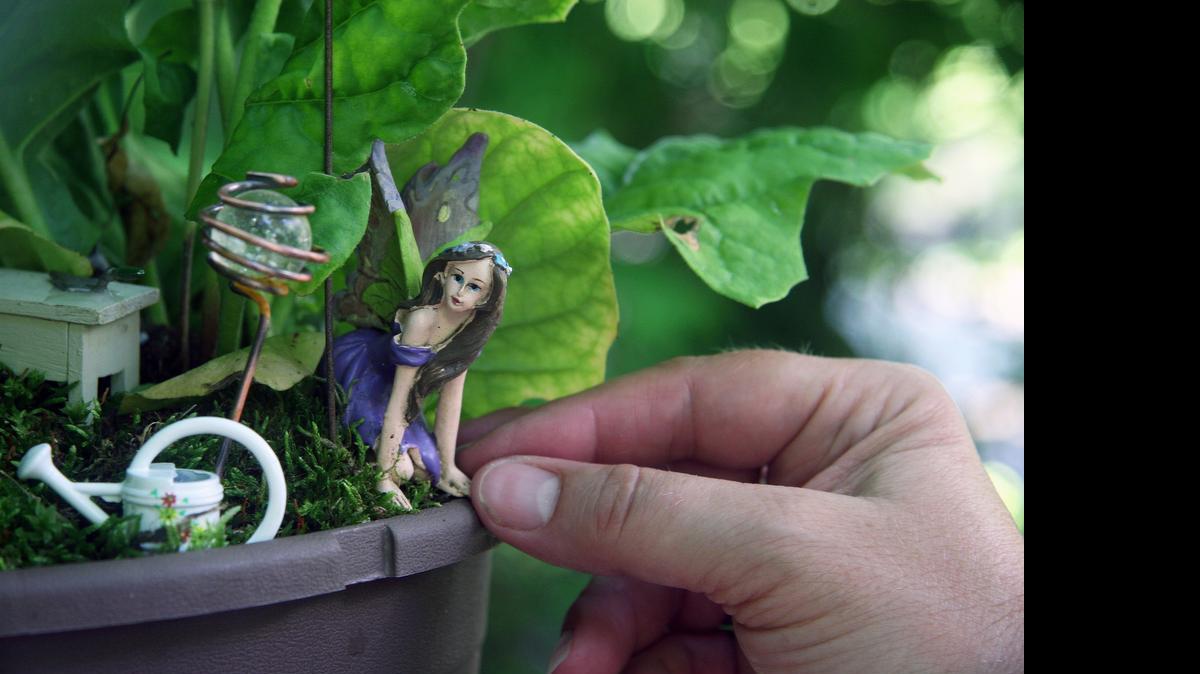 
Linda Sulentic places a fairy in a miniature garden nestled in a pot of Gerber daisies.
