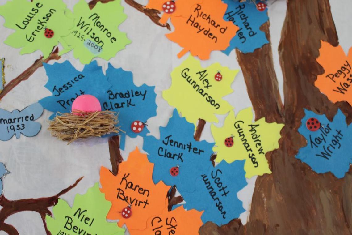 A bird nest with a pink egg represents an expectant mother on the Vitale family tree, which was displayed at a recent reunion in New Baden.