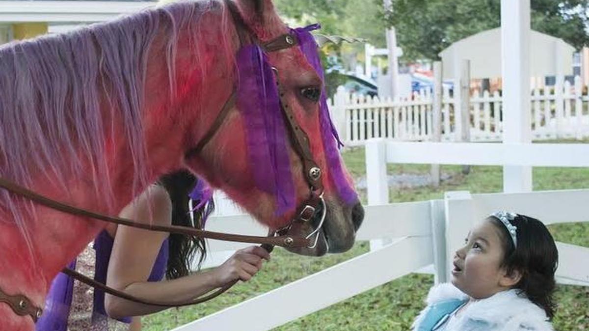 Candice Crume, 4, of Belleville, gets a close-up look at a “unicorn” of many colors during her Make-A-Wish trip to Disney World.
