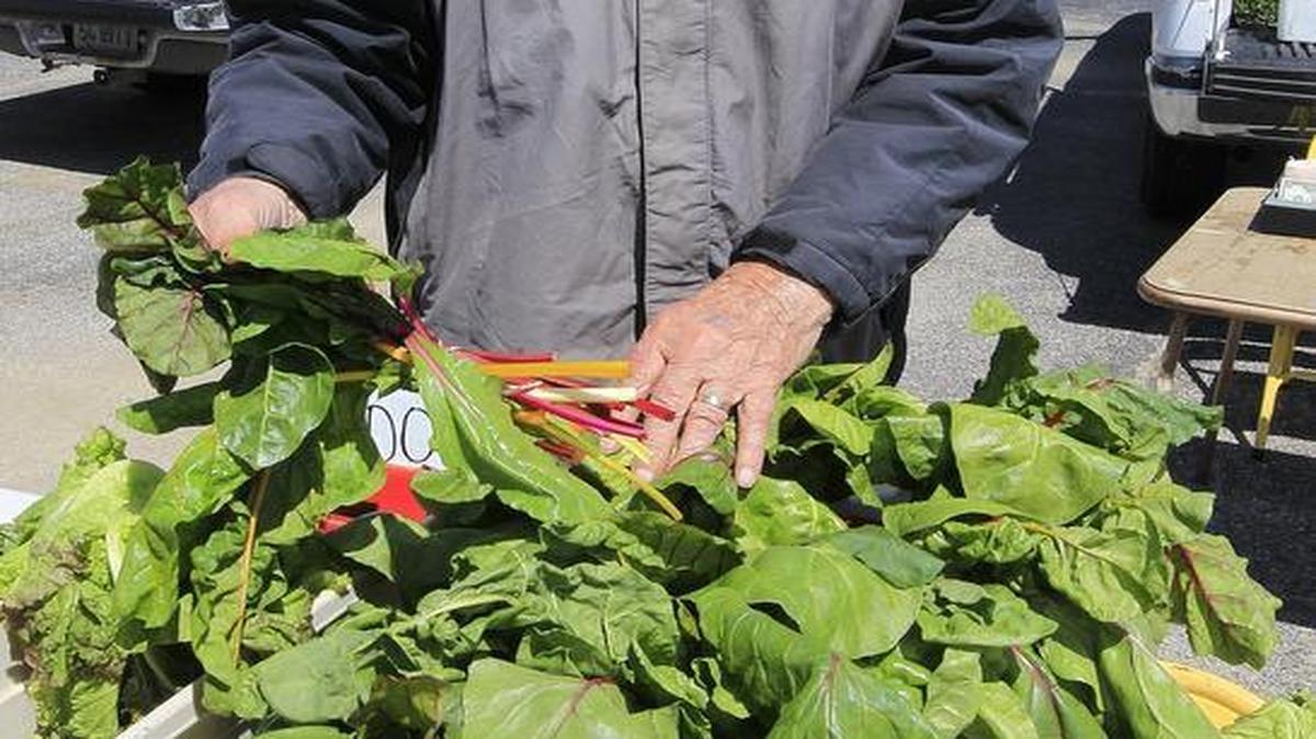 The Swansea Farmer’s Market is open from 10 a.m.-2 p.m. Thursday, Aug. 3, in the Rural King parking lot, 2801 N. Illinois St., Swansea.