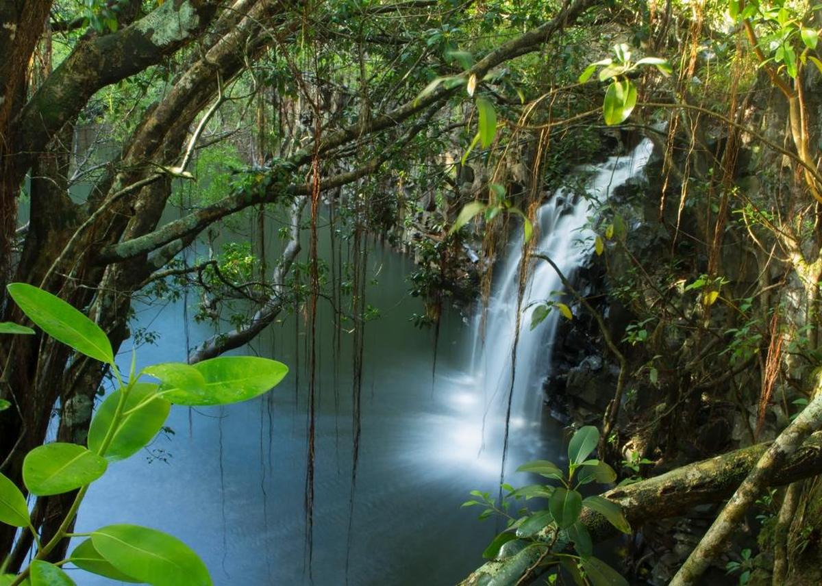 Lewis and Clark Student Photography exhibit will run until Dec. 9 at Picture This and More, 502 A West Delmar Ave., Alton. Pictured: Maui 2017 by Kyla Moore.