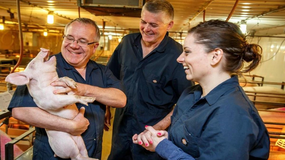 Illinois state Rep. Steve Andersson. R-Geneva, left, holds up a piglet that is 14 to 16 days old with third-generation hog farm owner Phil Borgic, center, and Rep. Avery Bourne, R-Raymond, right, during a legislative tour of a farrowing house by the Illinois Pork Producers Association at Borgic Farms in Raymond. Borgic Farms is looking to expand. Borgic says the expansion is being driven by demand from consumers and improved pork prices.