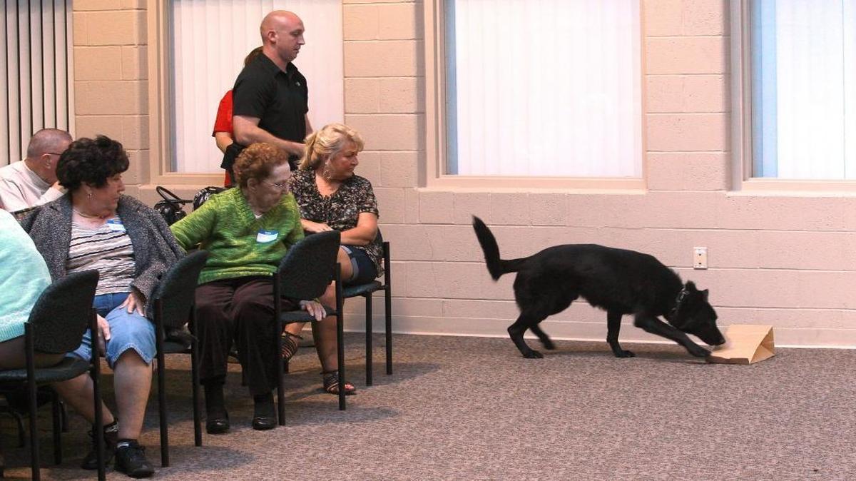 In this BND file photo, Fairview Heights Canine Officer Jason Totel, standing at left, gives a command for his police dog partner, Kohl, to begin his search for narcotics during a demonstration at the Fairview Heights Police Department’s 19th annual Senior Citizen Academy.