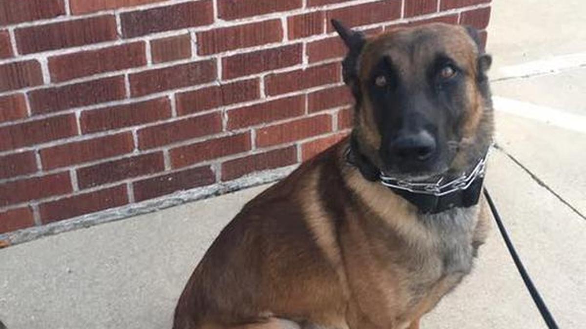 Dallas, with the Caseyville Police Department, as pictured on the department’s Facebook page.