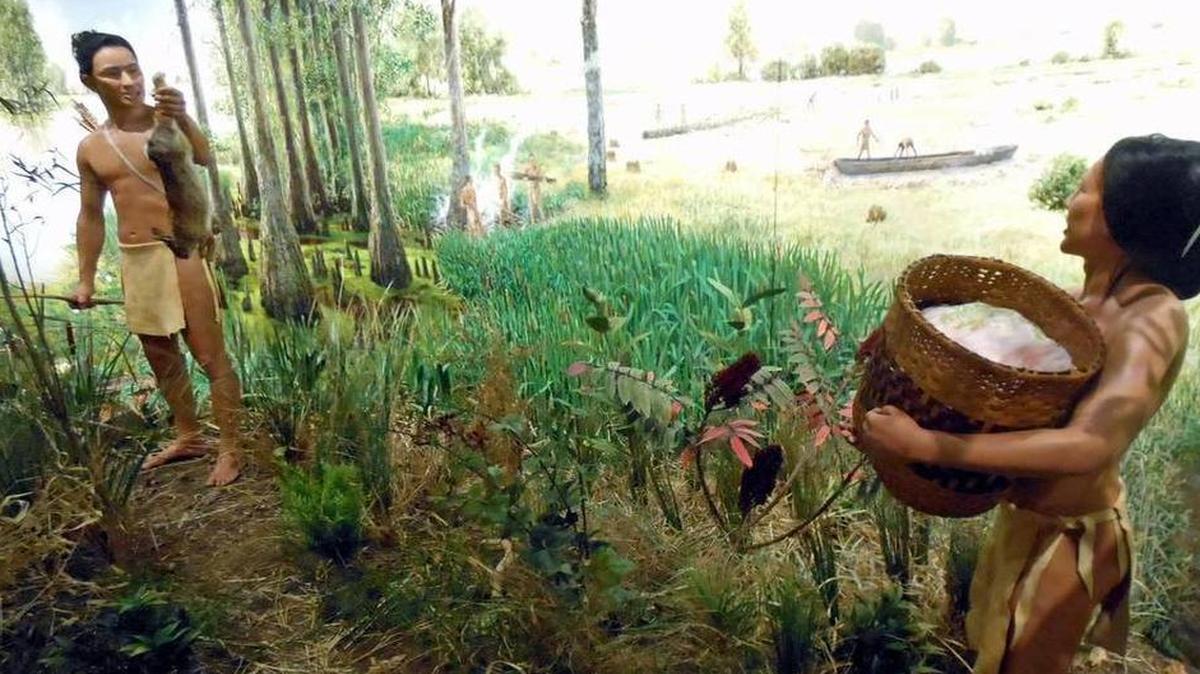 
A lifesize diorama in “Wetlands and Waterways: the Key to Cahokia” exhibit at Cahokia Mounds features a Native American woman harvesting squash, hunters and a lake.
