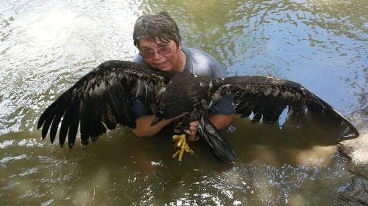 Sandie Konopelski had to swim across a creek, run and capture an injured eagle and swim back during a resue on July 4, 2014.