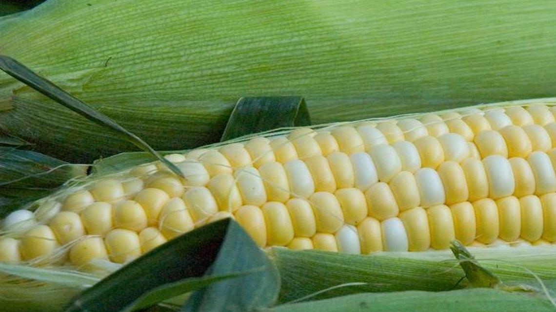 
Sweet corn is now Illinois’ official state vegetable.
