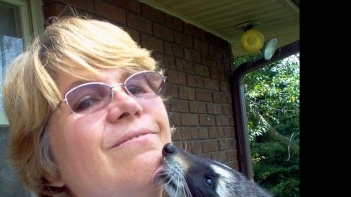 
Well-known animal rehabilitator Sandra Ann Konopelski, 58, of Shiloh died Friday morning after she was struck by a MetroLink train in Swansea. Konopelski was on the tracks rescuing an opossum.
